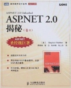 揭秘YAASP的真正含义插图