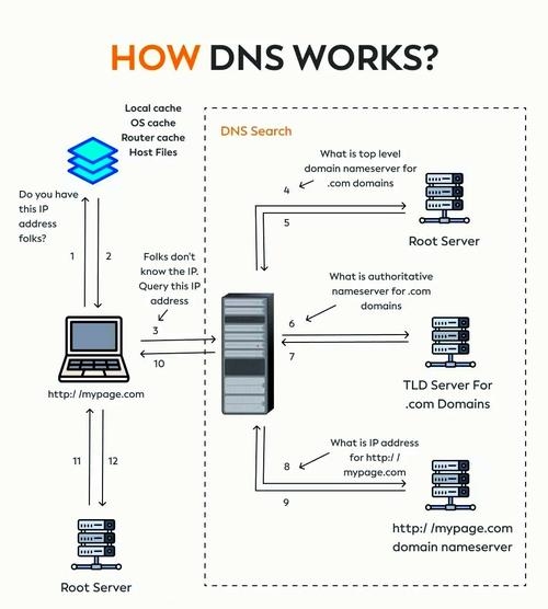 DNS缓存解析与优化管理插图