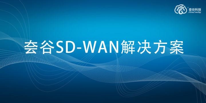 HPPRO内网穿透技术解析与应用插图