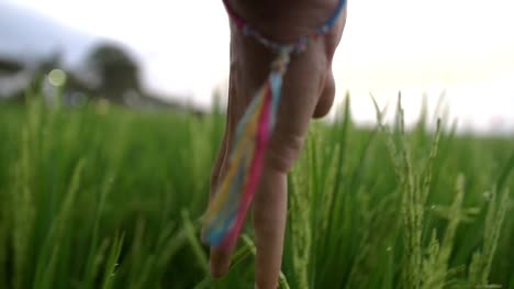 Mazwai简介及高清视频下载关键词查找指南插图