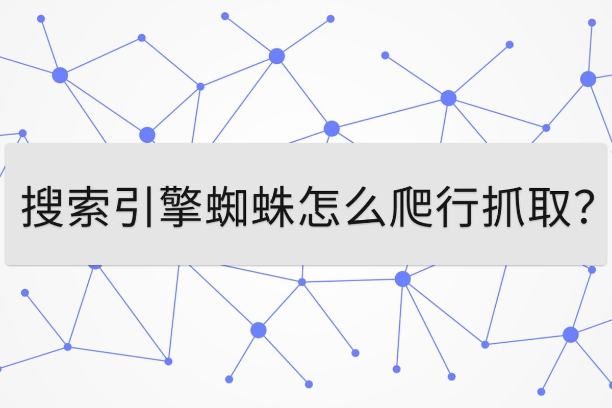 蜘蛛搜索软件下载指南插图