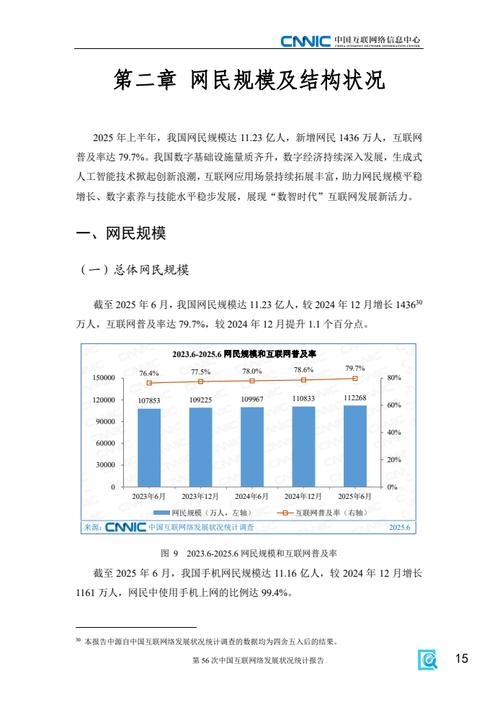 CNNIC官网报告发布次数统计及分析插图