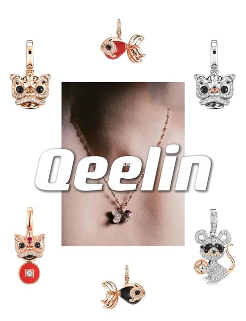 qeedns品牌介绍插图