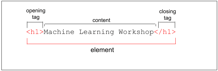 HTML标记详解插图