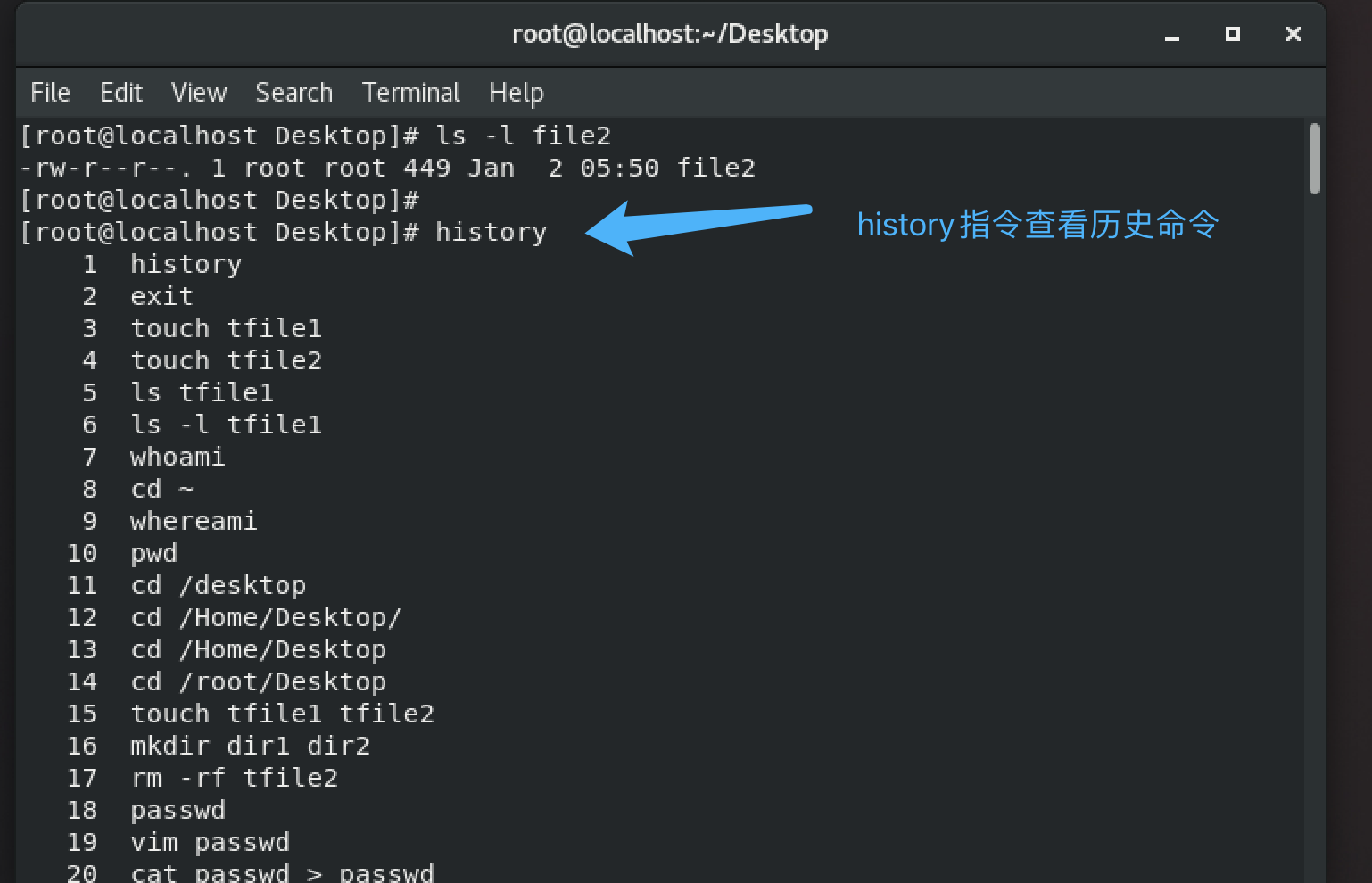 Linux系统下载安装全攻略插图