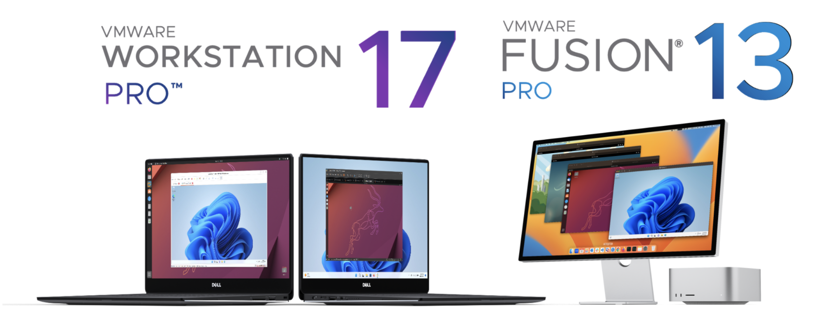VMware虚拟机免费版下载与使用指南插图