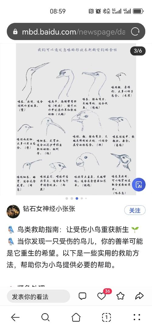 Seojoon的含义解析插图