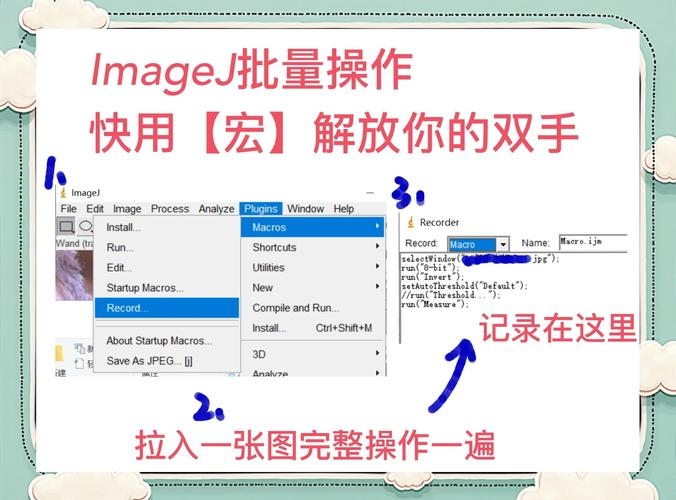 TextBox控件自动换行方法与实现细节解析，VB中的换行策略与注意事项插图