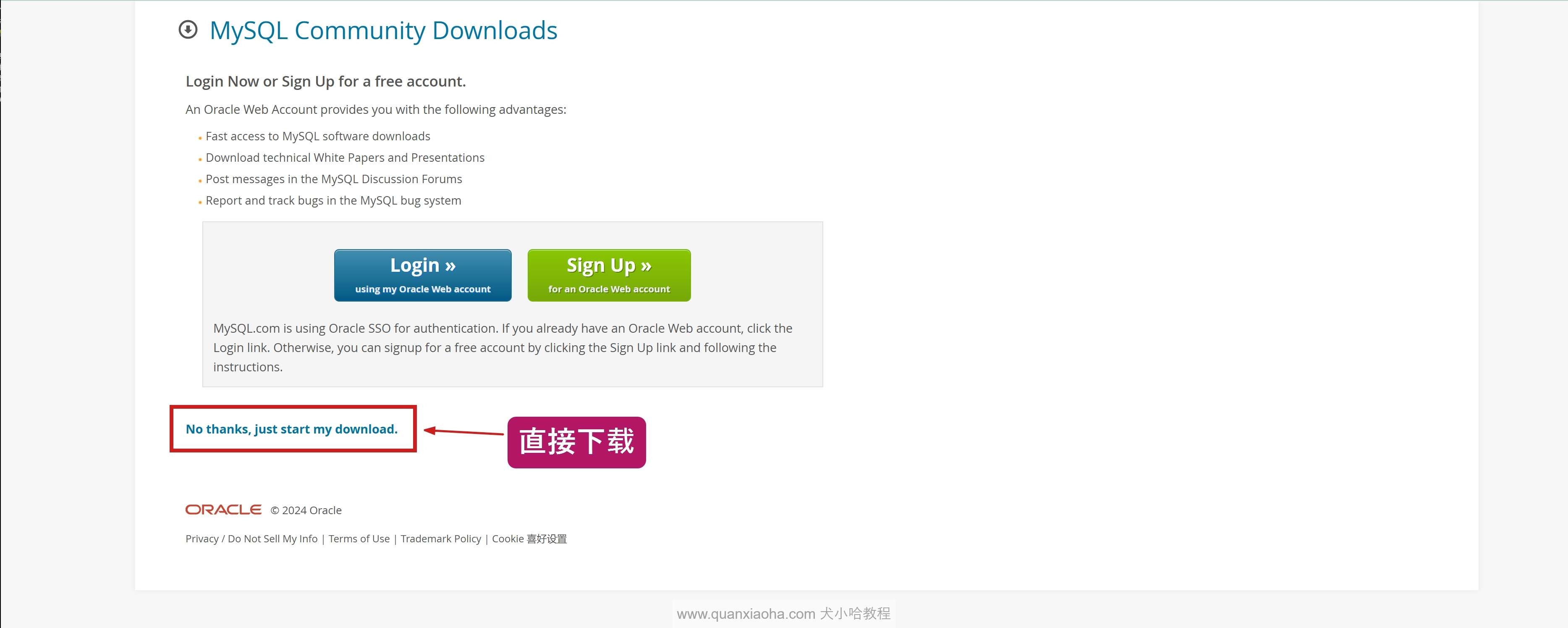 MySQL数据库下载安装教程插图