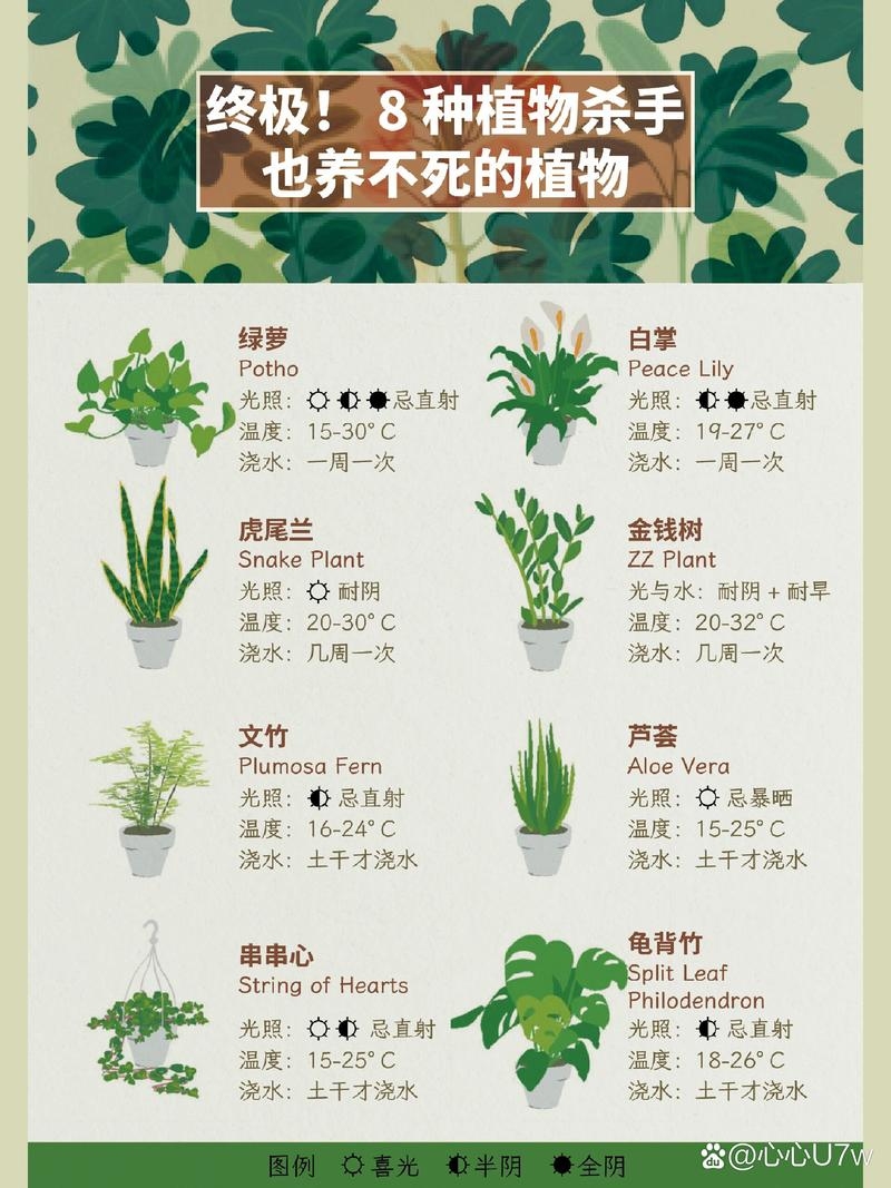 liststyletype属性详解,功能与作用插图 liststyletype属性详解,功能与作用插图