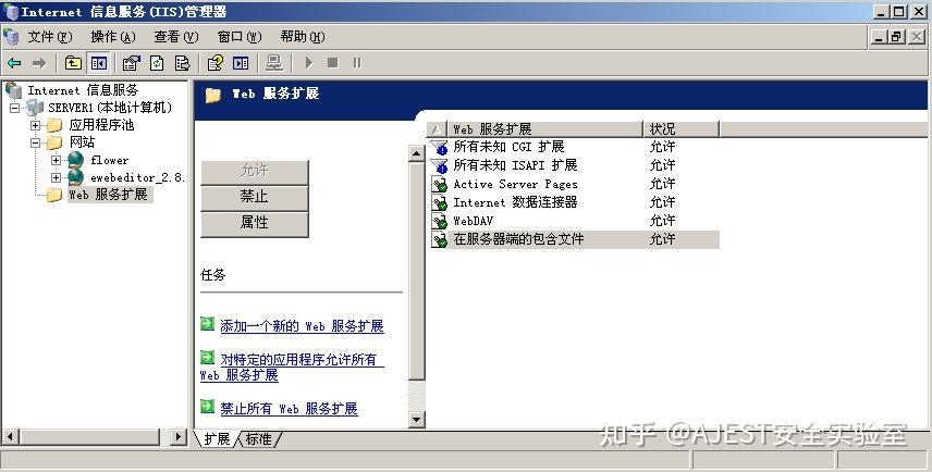 IIS主要功能与特点介绍，托管网站和Web应用的服务利器插图