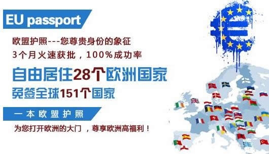 欧洲与美洲VPS，探索其优势与应用场景插图