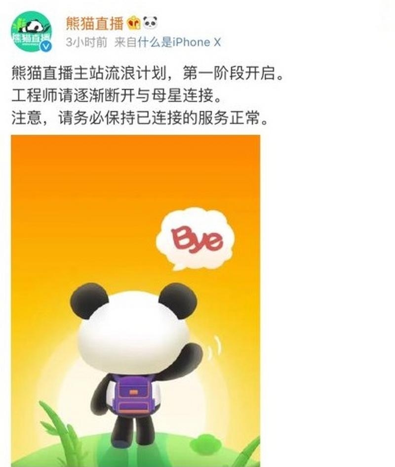 熊猫直播为何关闭?插图 熊猫直播为何关闭?插图