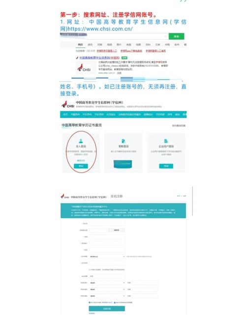 校园网服务器查询与认证问题解决指南插图