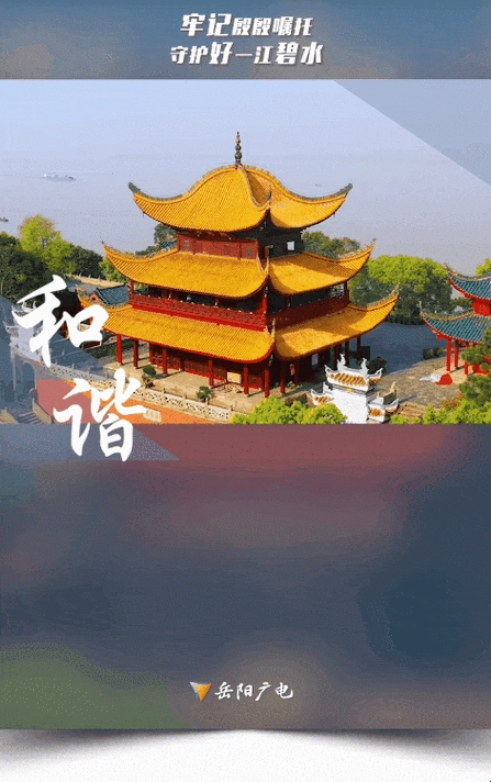 岳阳网站建设协会动态，整合资源打造品牌，网络文化繁荣助推发展插图