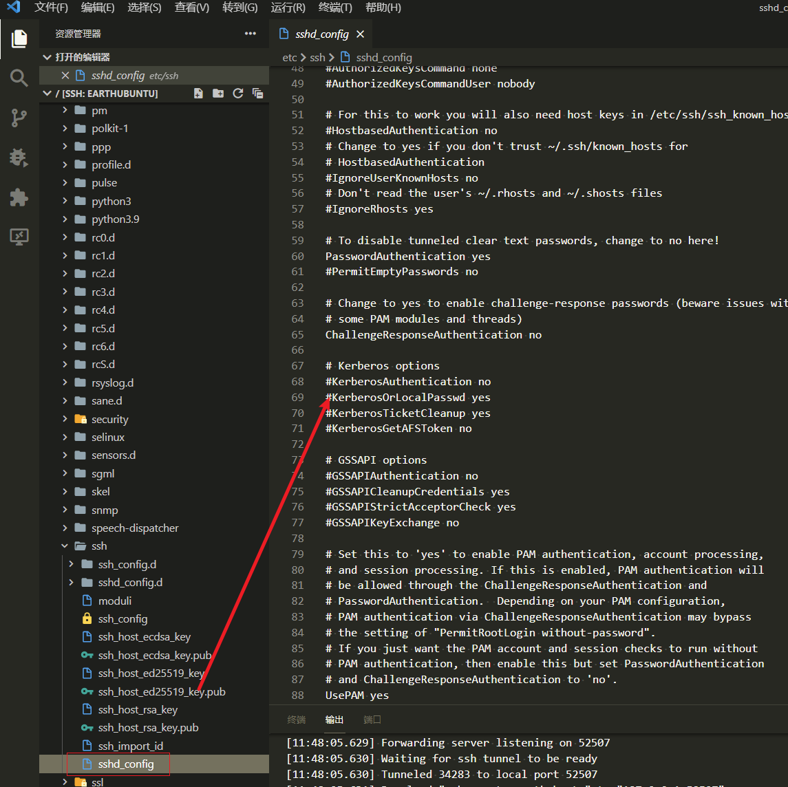 远程服务器密码输入问题解决方案插图