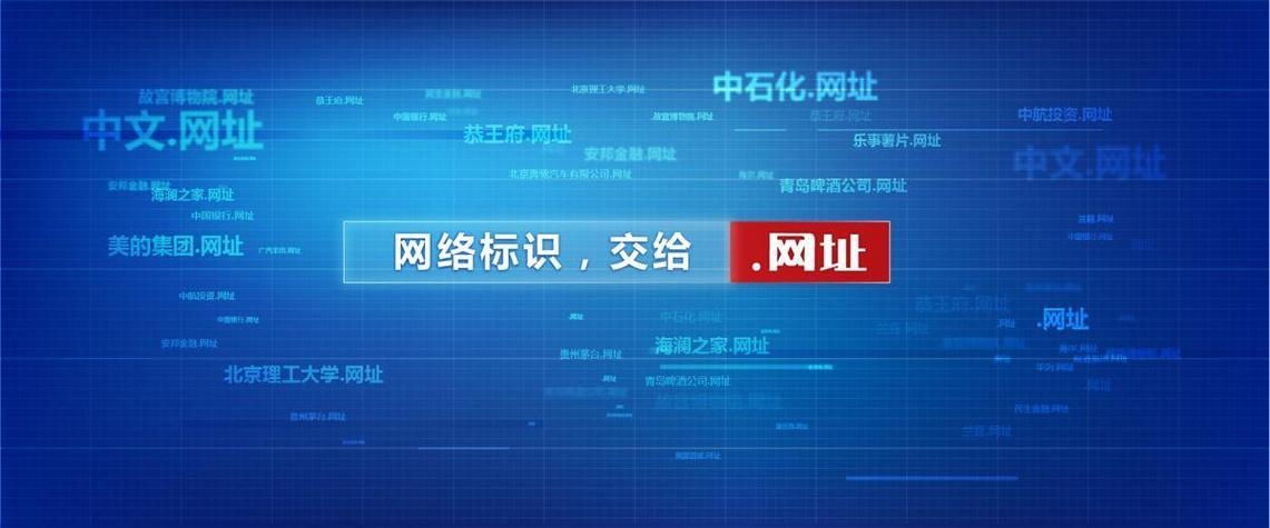 中国网域名的探索与展望插图