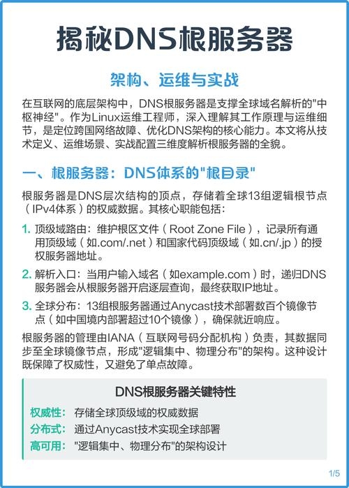 中国网络与根服务器，归属与重要性插图