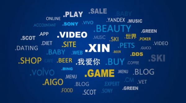 中国域名抢注指南，平台选择、定义与策略插图