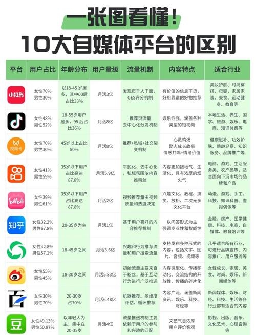 自媒体平台大全插图