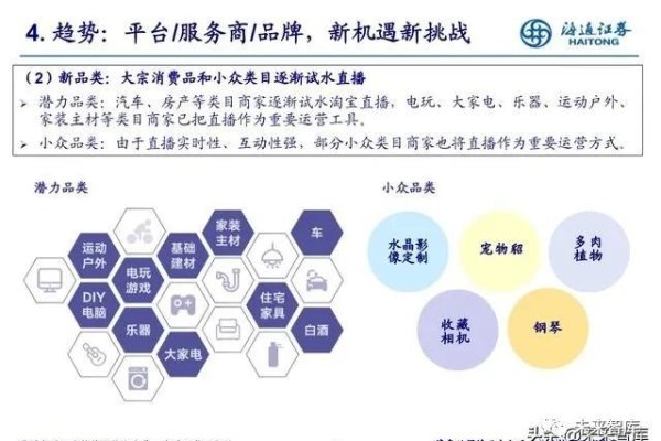 阿里巴巴子公司Shein与长沙佰赞电商概况分析标题，公司深度解析-百挑一