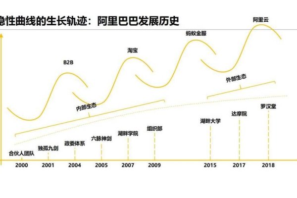 阿里巴巴万网的发展与创始人视角下的拓展历程。-百挑一