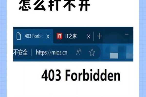 爱做网站在线看403，探索数字世界的独特魅力-百挑一