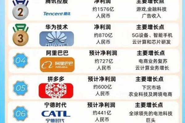 百度合作商名单大全,共创数字未来-百挑一