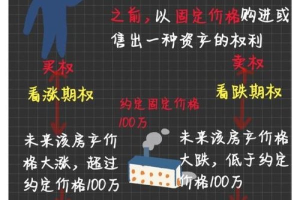 百度权重考察期解析-百挑一