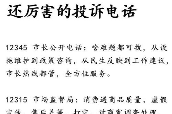 百度投诉热线，解决用户问题的有效途径-百挑一