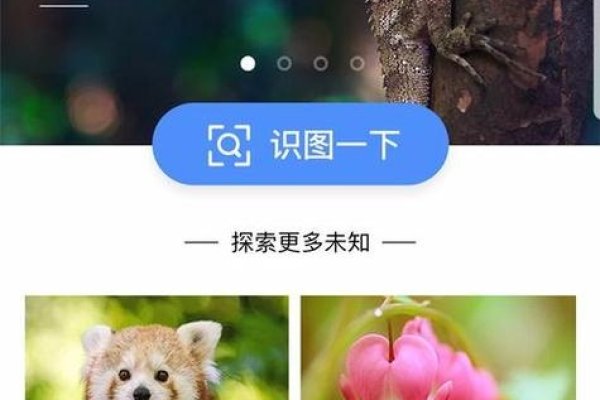 百度识图官方在线工具，以图搜图的便捷体验-百挑一