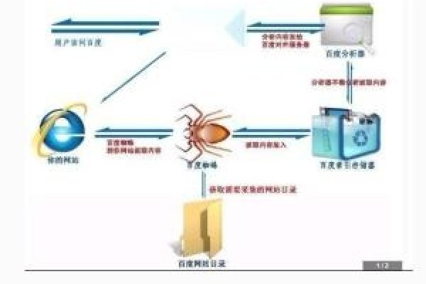 百度蜘蛛软件激活流程-百挑一