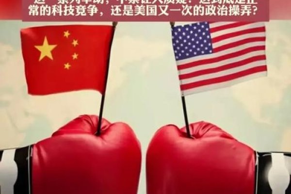 本网站在美国的维护与受美国地方法的保护-百挑一