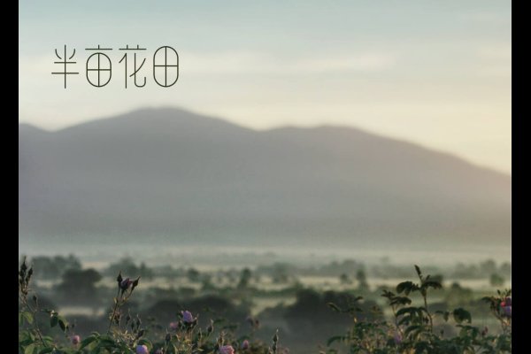 半亩花田首页设计模板的魅力与运用-百挑一