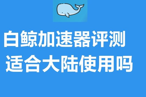 白鲸加速器安卓版,助力你的网络畅游-百挑一