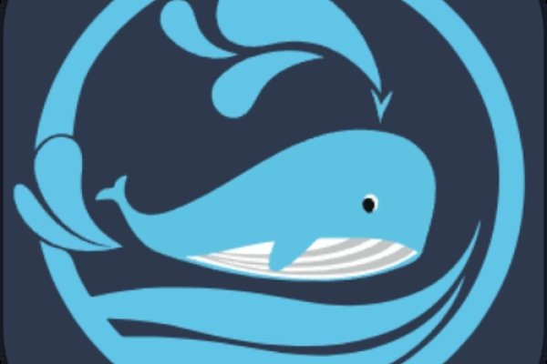 白鲸加速器电脑版，极速体验与高效工具-百挑一