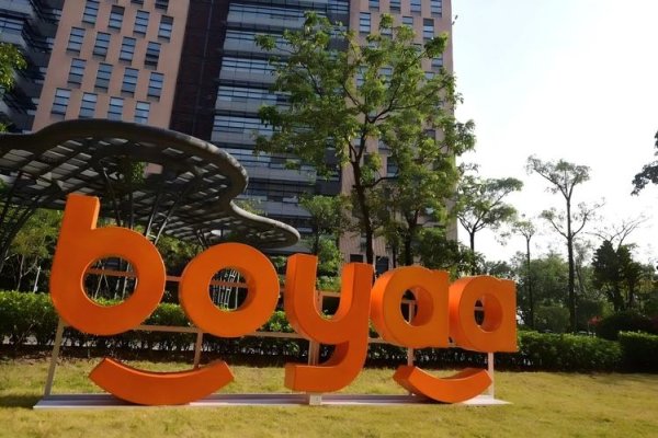 博雅网络游戏开发，引领游戏产业新篇章-百挑一