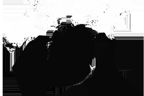 成都网站建设与推来客网络服务-百挑一