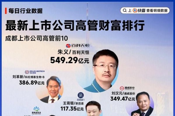 成都软件开发上市公司财务负责人年薪揭秘-百挑一