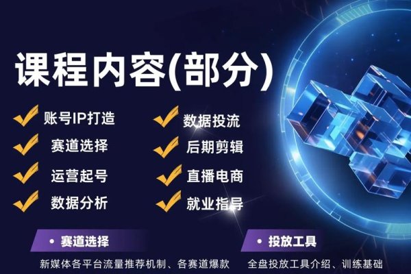 成都自媒体运营公司与培训机构概览，专业团队助力互联网营销发展-百挑一