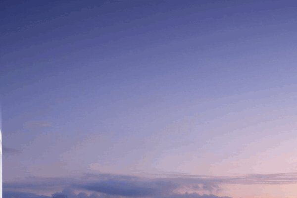 成都专业网站设计公司,打造高质量数字界面的先锋-百挑一