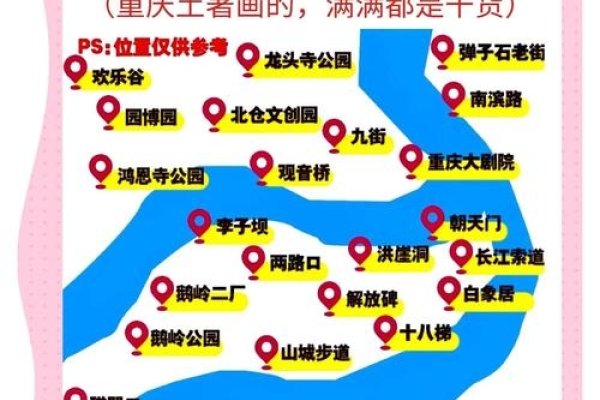 重庆官方服务平台与查询系统指南-百挑一