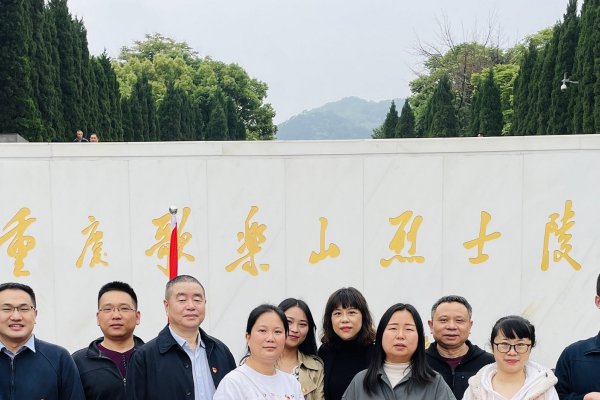 重庆与泉州，携手共建未来网络新纪元 一家网站公司的故事-百挑一