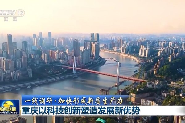 重庆政府扶持的创业项目，推动创新与发展的力量-百挑一