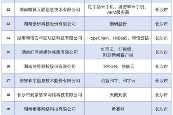 长沙网站排名分析报告-百挑一