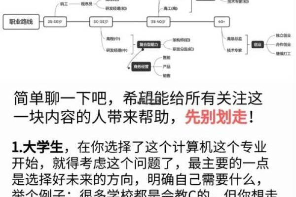 程序员从何处起步，探索编程之路的起点-百挑一