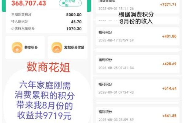 创业天下，消费积分如何赚取收益？能否提现？-百挑一