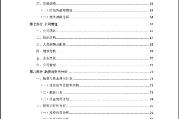 创业项目计划书完整版，构建成功的基石-百挑一