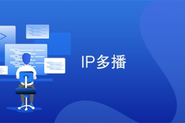 多播固定IP域名解析与优化-百挑一