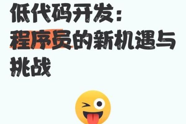 低代码开发趋势下的程序员角色变革，机遇与挑战并存-百挑一